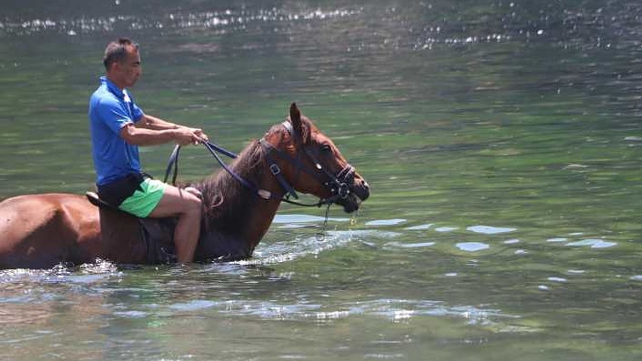 Bunaltıcı sıcakta yarış atıyla denizin tadını çıkarttı!
