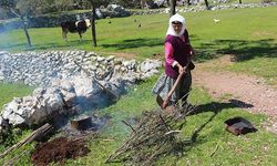 74 yaşındaki kadın, 54 yıldır andız ağacından katran yapıyor