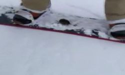 Rusya'da tarla faresi kar üstünde kayak yaptı