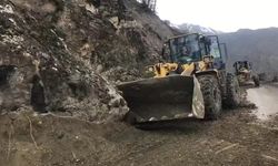 Siirt'te dağdan kopan dev kaya, köy yolunu ulaşıma kapattı