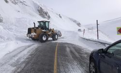 Artvin-Ardahan Karayoluna Çığ Düştü