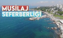 Caddebostan eski günlerine dönüyor!