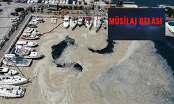 Çanakkale'de müsilaj temizliği