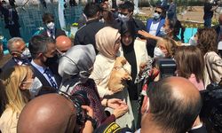 Emine Erdoğan ses telleri kesilen köpeği Yonca Evcimik’e emanet etti