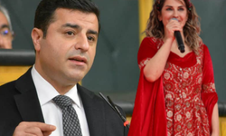 HDP- Demirtaş krizinin asıl sebebi Başak Demirtaş mı?