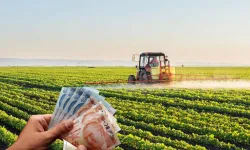 Bakan Kirişçi açıkladı: Çiftçilere bugün 197,3 milyon liralık destek ödemesi yapılıyor!