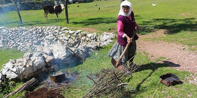 74 yaşındaki kadın, 54 yıldır andız ağacından katran yapıyor