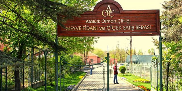 Atatürk Orman Çiftliği metrekaresi 10 kuruştan kiraya verildi
