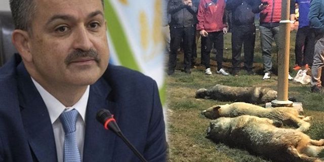 Bakan Bekir Pakdemirli’den Ankara’daki köpek katliamıyla ilgili açıklama geldi
