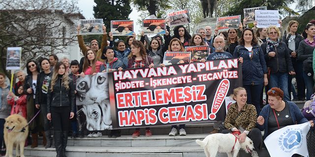 Bursa'da eylem! Hayvan severlerden katliama tepki   