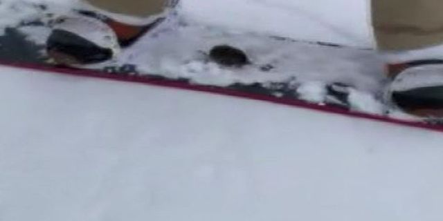 Rusya'da tarla faresi kar üstünde kayak yaptı