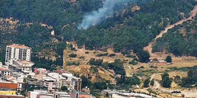 İzmir’de orman yangını! Konut için mi yakıldı?
