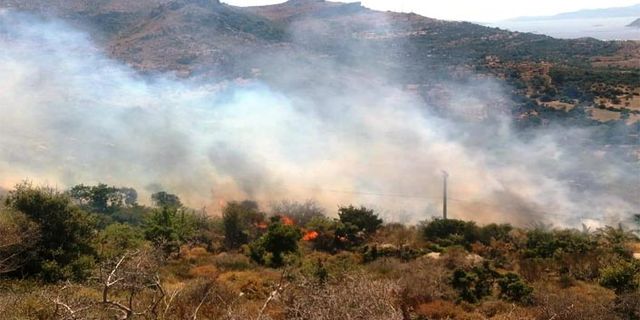 Bodrum'da çıkan yangın yerleşim yerlerine yaklaşıyor