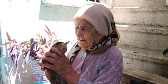 Kedisini yaralı gören yaşlı kadın gözyaşlarına boğuldu