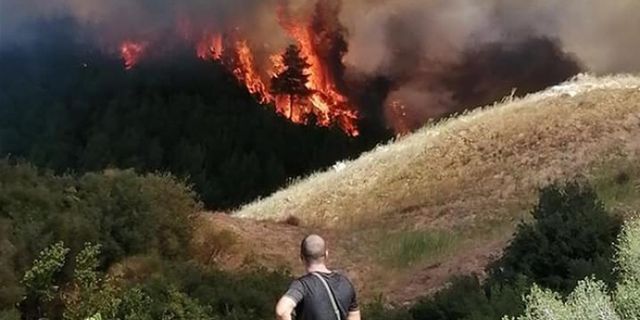 Bir orman yangını haberi daha Çanakkale'den!
