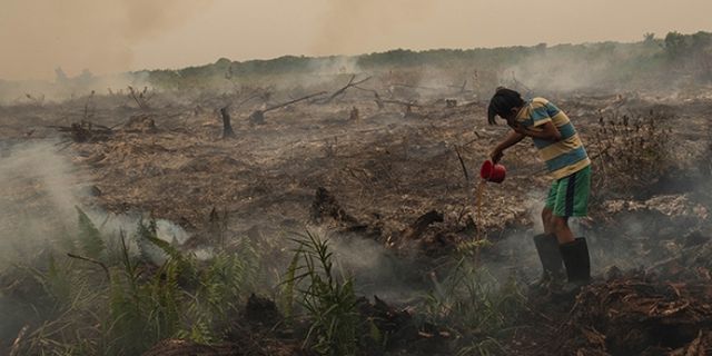 Orman yangınları havayı kirletti, yüzlerce okul kapatıldı