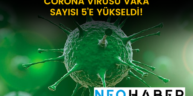 Corona Virüs Vaka Sayısı 5'e Yükseldi