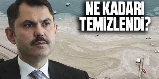 Bakan Murat Kurum'dan müsilaj açıklaması: 8 işletmeye kapatma cezası