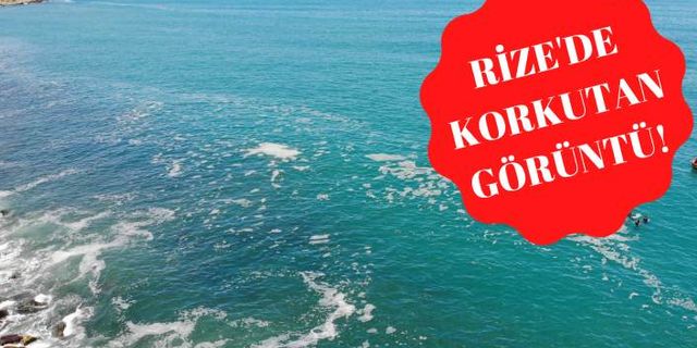 Müsilaj Karadeniz'e mi sıçradı?