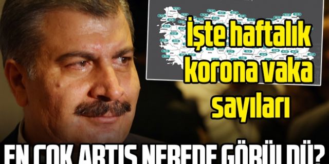 Türkiye'de en çok Koronavirüs görülen il belli oldu