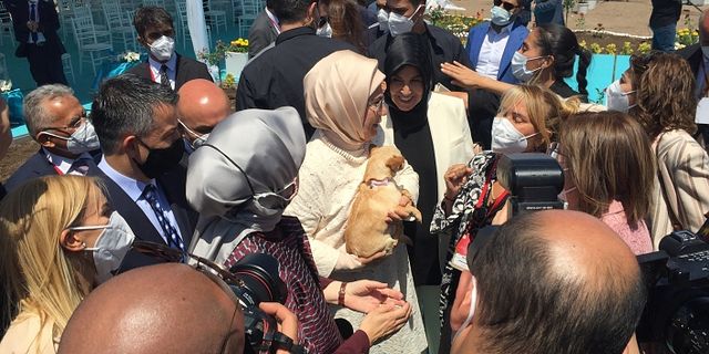 Emine Erdoğan ses telleri kesilen köpeği Yonca Evcimik’e emanet etti